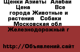 Щенки Азиаты (Алабаи) › Цена ­ 20 000 - Все города Животные и растения » Собаки   . Московская обл.,Железнодорожный г.